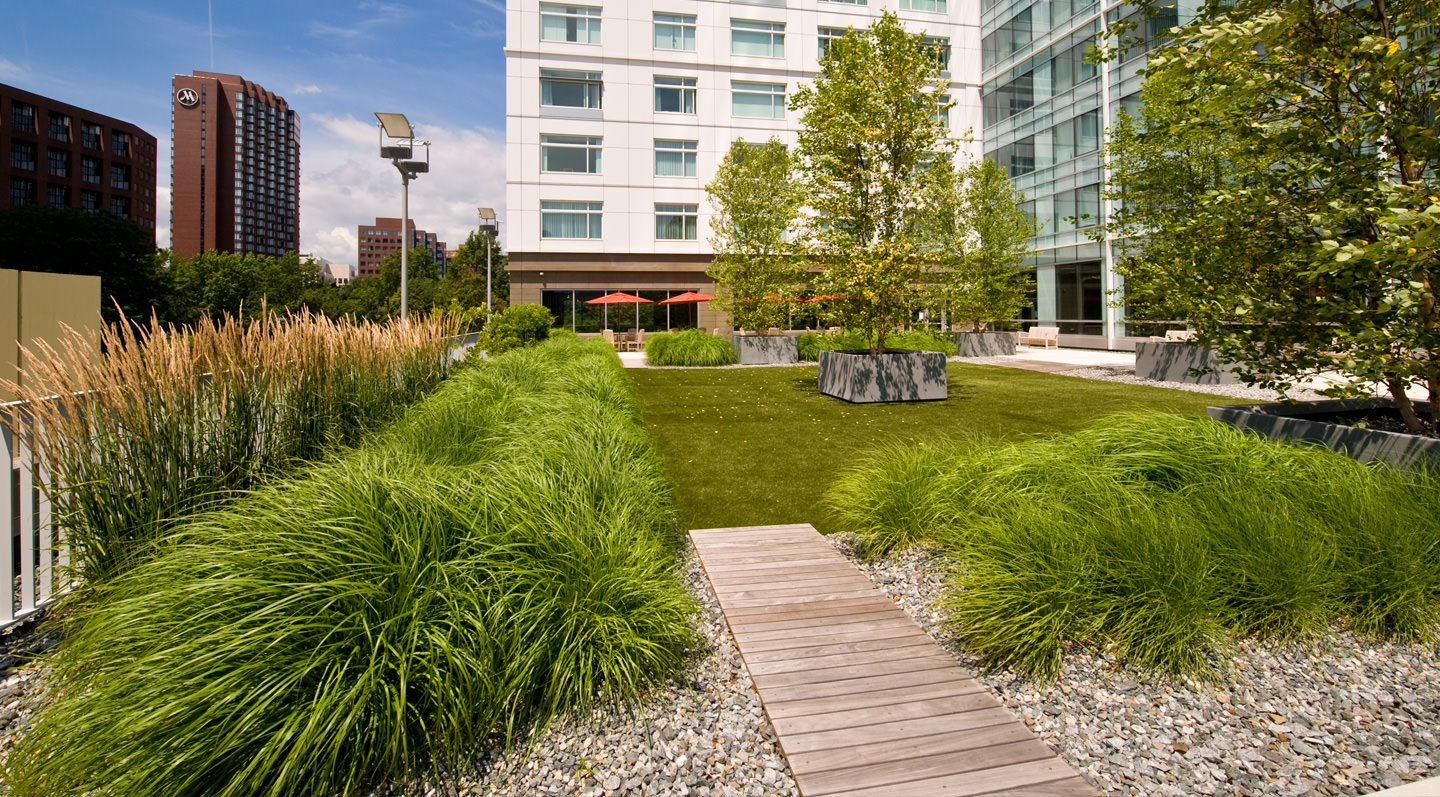 landscape-design-rooftop-garden-zen-associates
