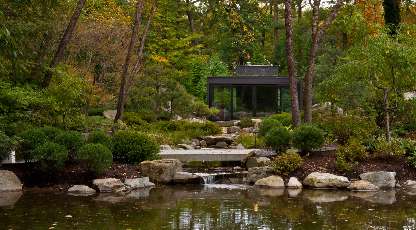 residential-japanese-water-garden-design-construction